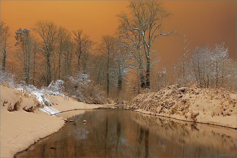 Ванильная ночьphoto preview