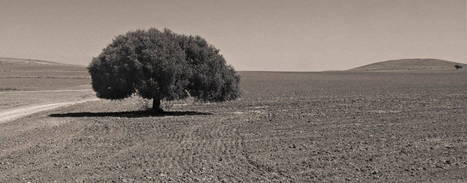 дойти бы.... Автор: Сергей Матвиец (chieffpovar) , Сергей Матвиец (chieffpovar)