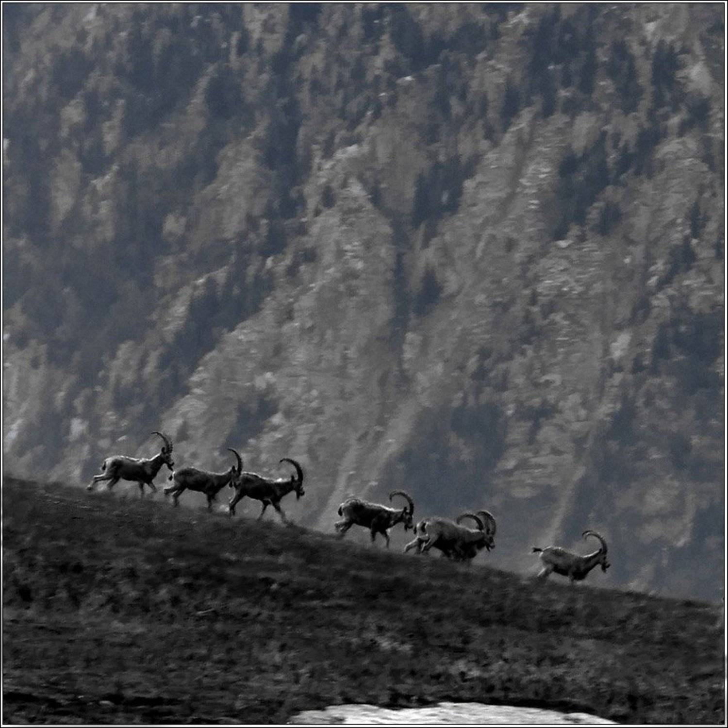 теки, горы, утро,, Михаил Попов