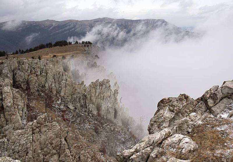 В королевстве ветровphoto preview