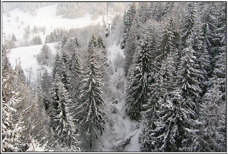 карпаты, зимние, путешествия photo preview