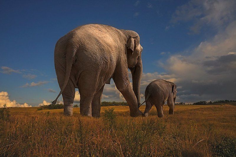 на исходе летаphoto preview