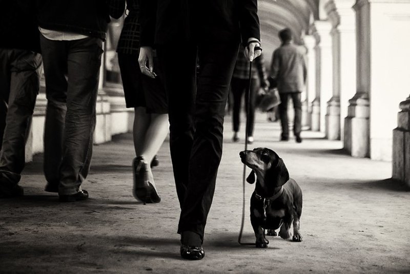 другphoto preview