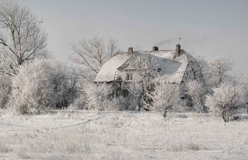 Инейphoto preview