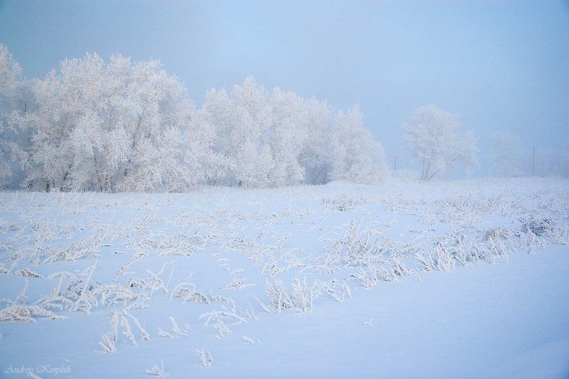 снег, енисей, сибирь, красноярск ***photo preview