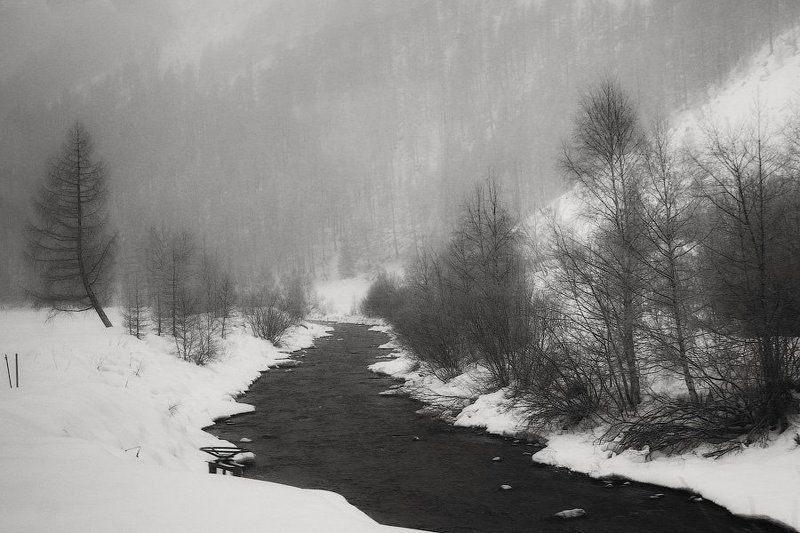 швейцария, теш, гора, река, снег, зима, метель, мороз, вода, берег, дерево, куст, dyadyavasya Горная река в непогодуphoto preview