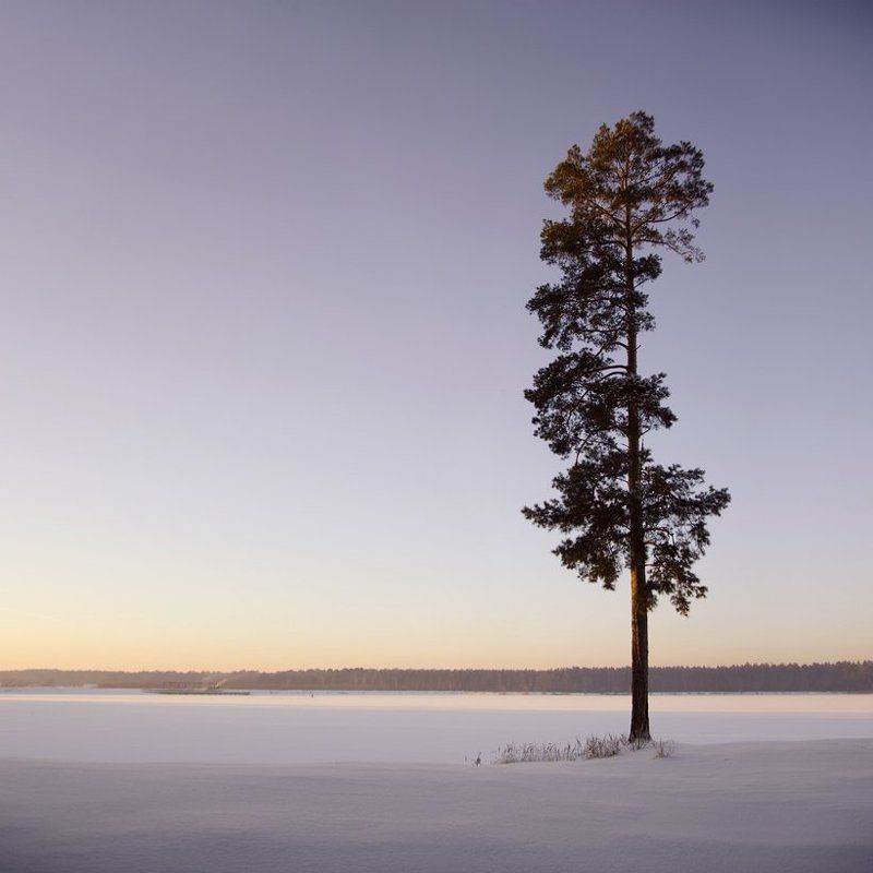 Зимняя зарисовочка №2.photo preview