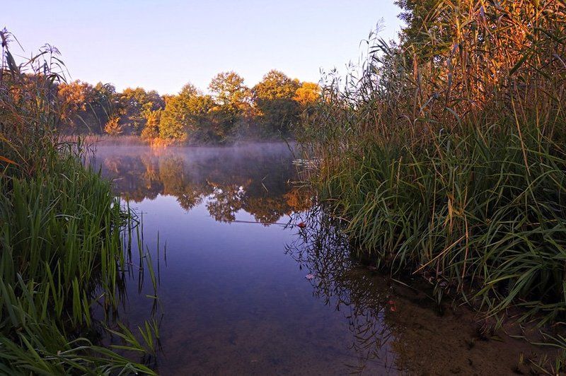 пейзаж,природа,озеро,утро Утро на Камень-озере фото превью