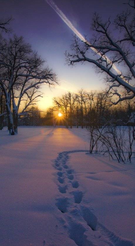 , Viktor Kalechenkov