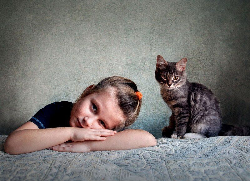 портрет ребенка и котаphoto preview