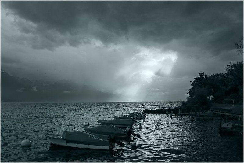 Ода светуphoto preview