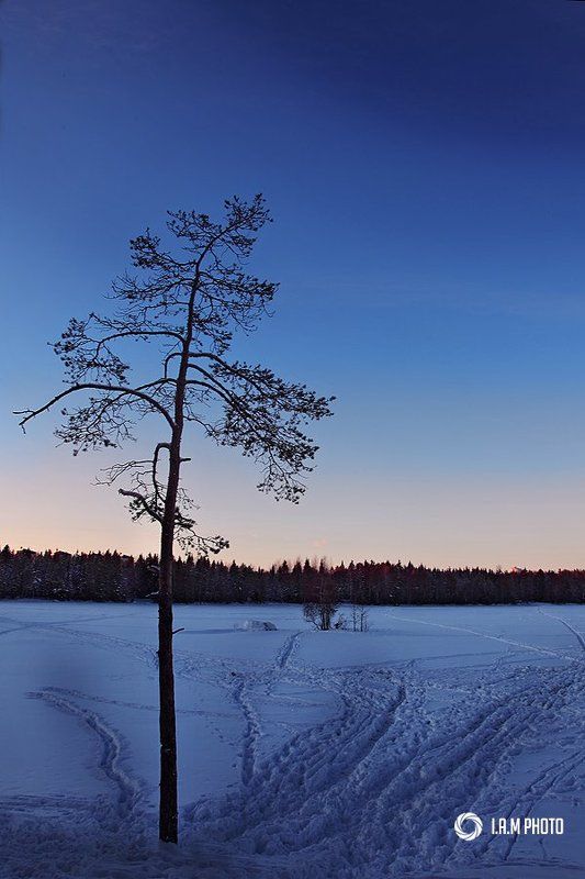 Вечер на озереphoto preview