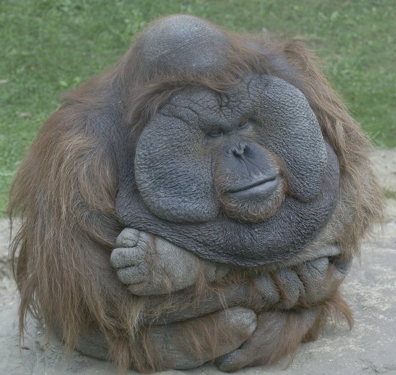 Нэцкэphoto preview