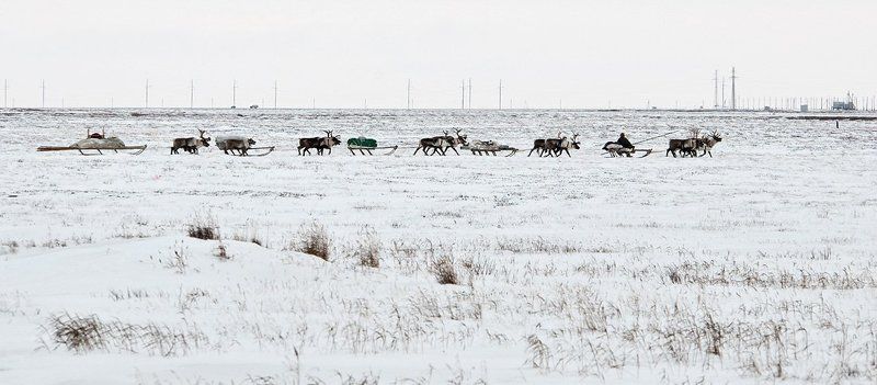 жизнь на краю земли, жанр, ненцы, путешествия, север каслание (переход)photo preview