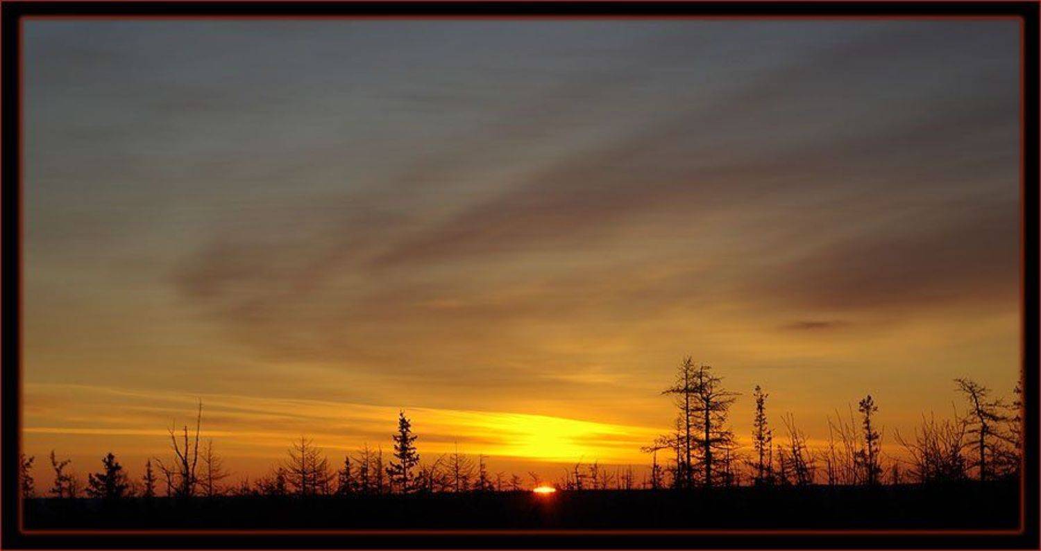 тайга,рассвет, Солодухин Виктор