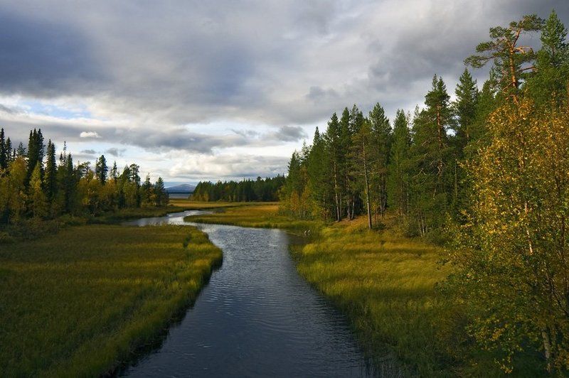 пейзаж,осень,север,ручей Верес-ручей....Осень фото превью