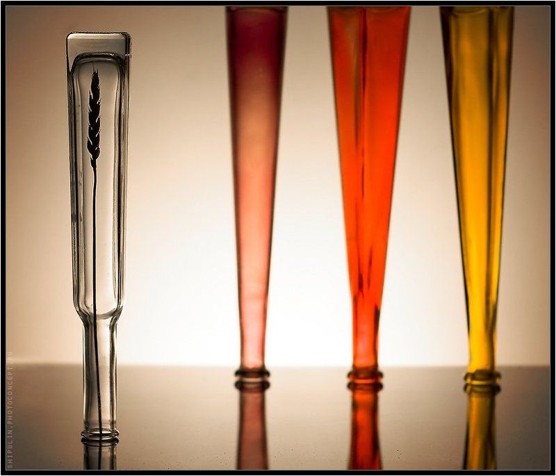 внешность,может,быть,обманчива,обманчивой,бутылки,колосок,натюрморт,владимр,шипулин, Внешность может быть обманчива. Главное то, что внутри...photo preview