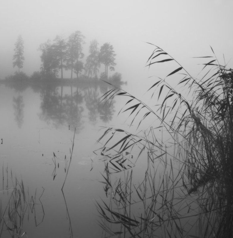 Зыбкая тишинаphoto preview