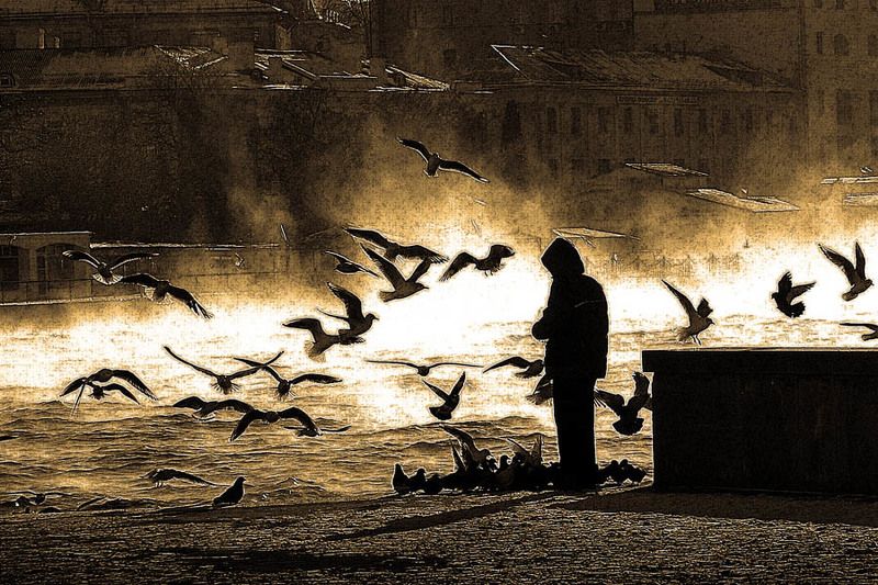 Мой Севастополь. АРТбухта. - 15photo preview