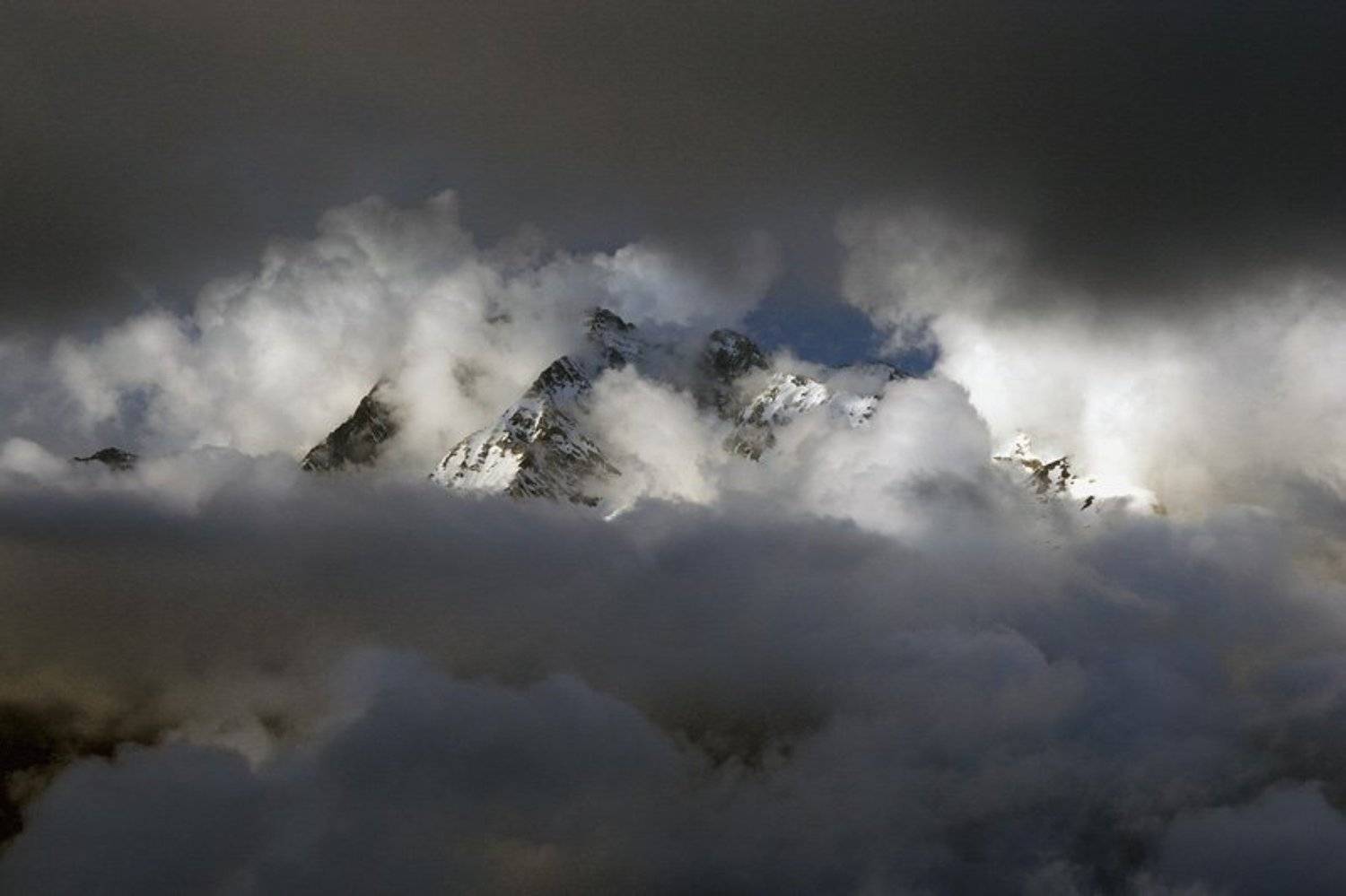 , Синицкий Виталий