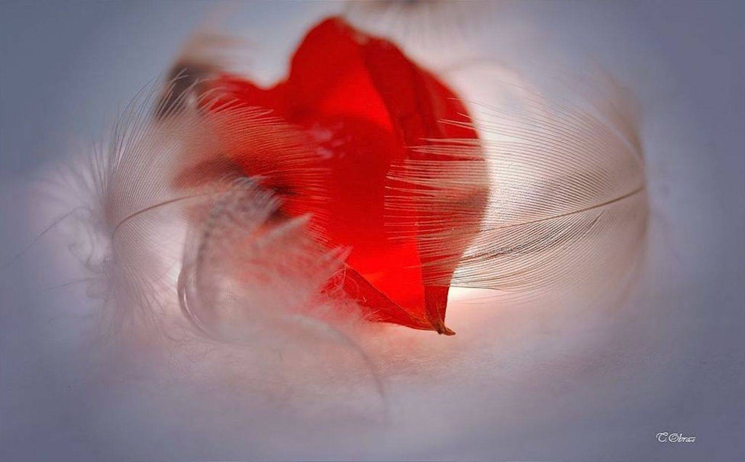 сбереги меня.... Автор: Татьяна Образ , Татьяна Образ