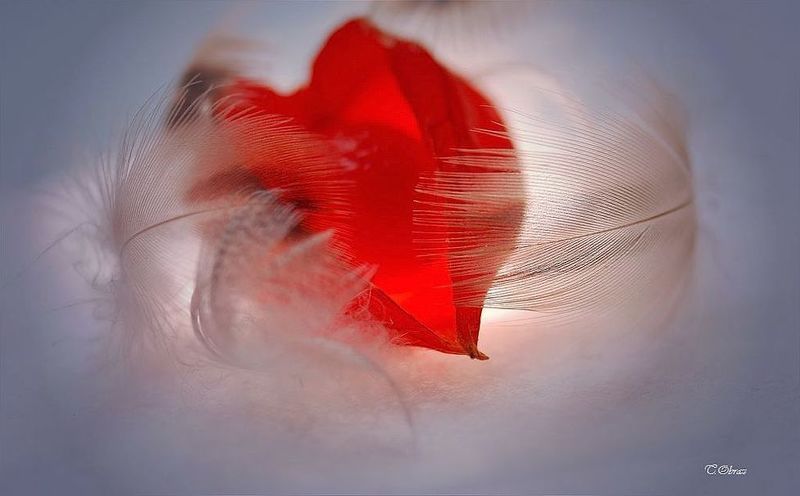 сбереги меня...photo preview