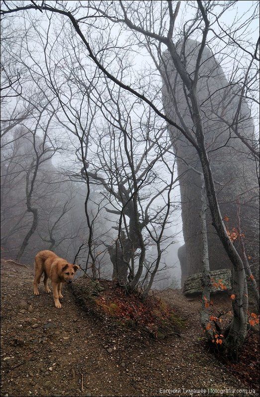 Про Кирюхуphoto preview