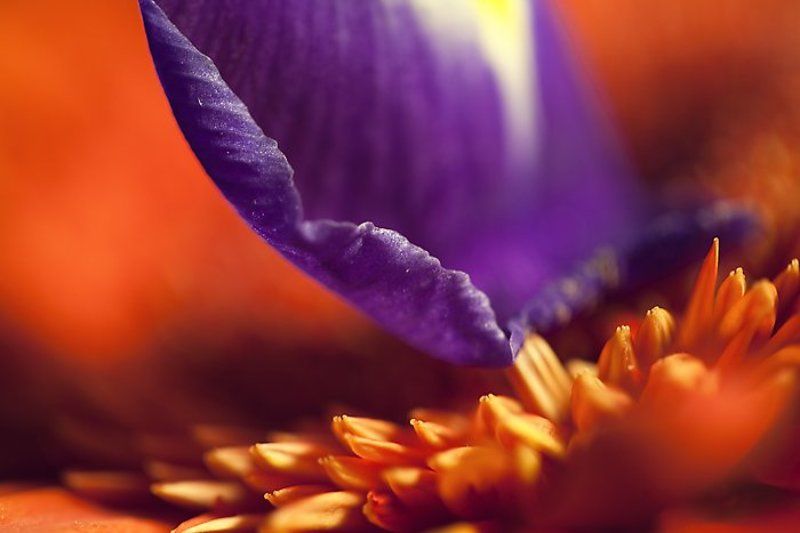 прикосновениеphoto preview