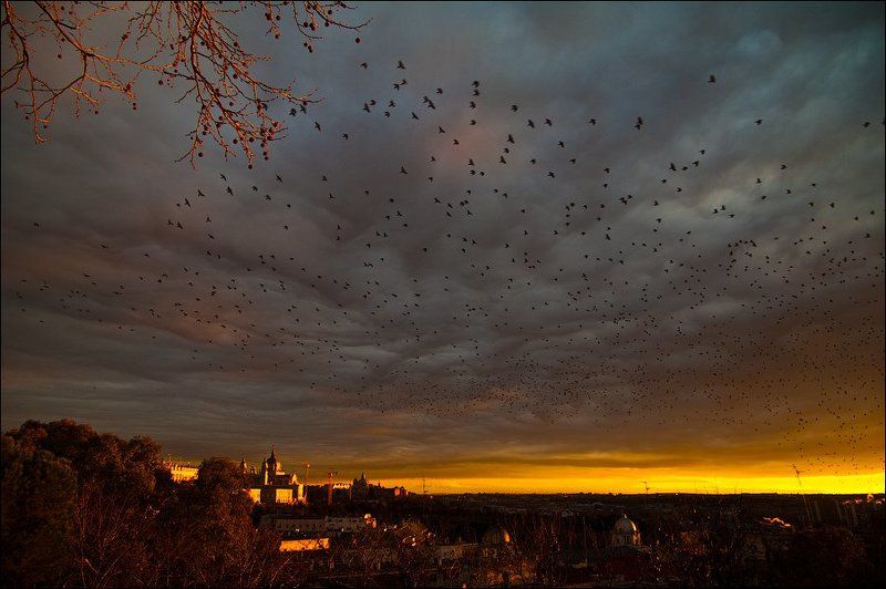 мадрид ***photo preview