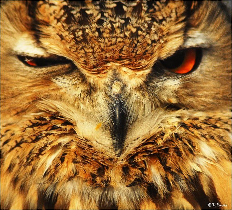 Тонкий намекphoto preview