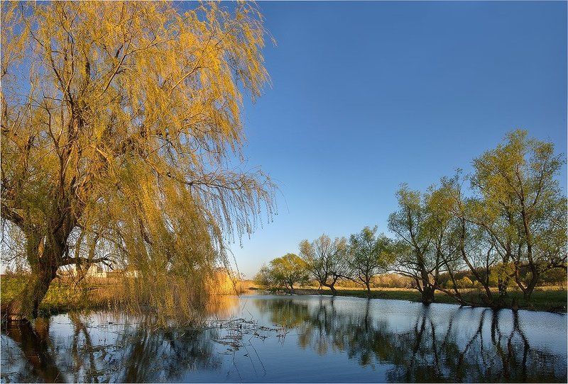 В лучах закатаphoto preview