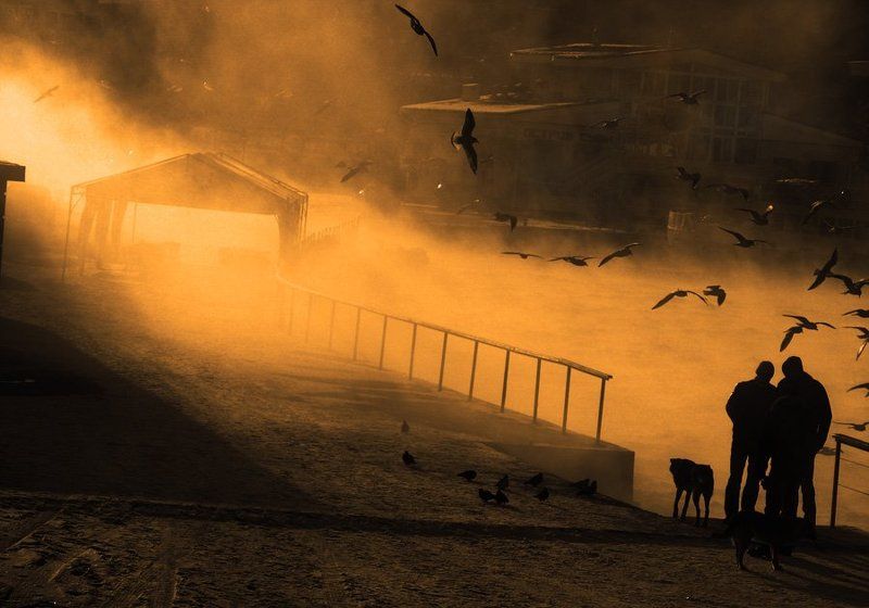 АРТбухта. Севастополь. ПАР. - 15photo preview