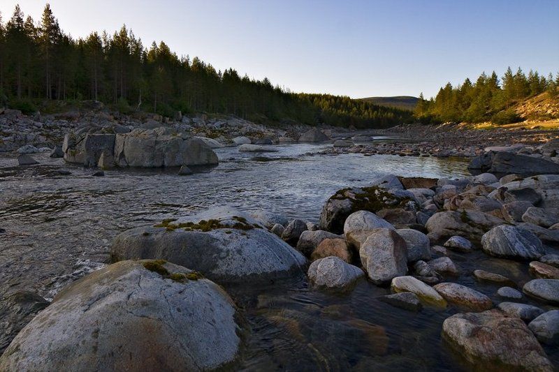 пейзаж,лето,север,река На старом русле р.Нива фото превью