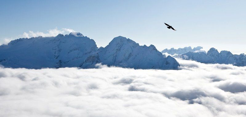 над облакамиphoto preview