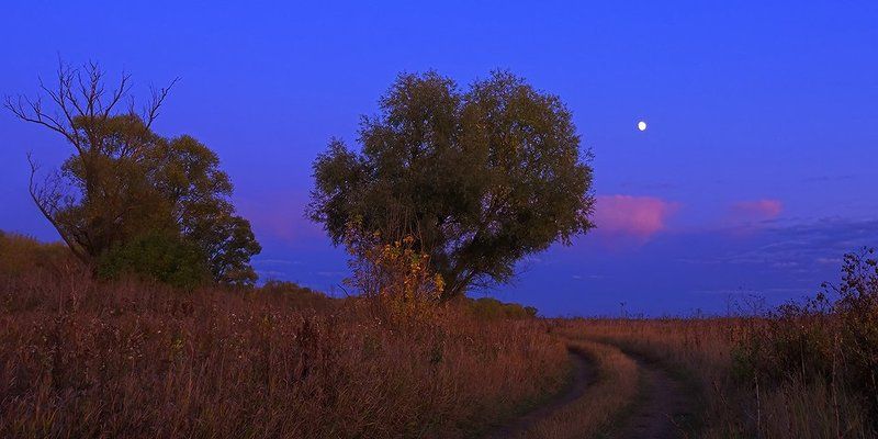 дон, закат Донская саванна фото превью