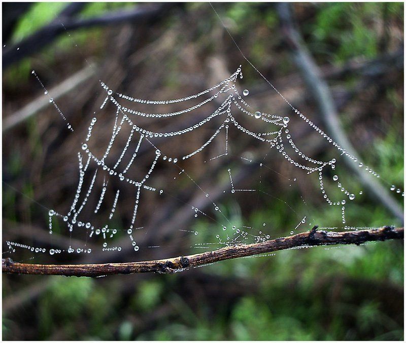 Бусинкиphoto preview