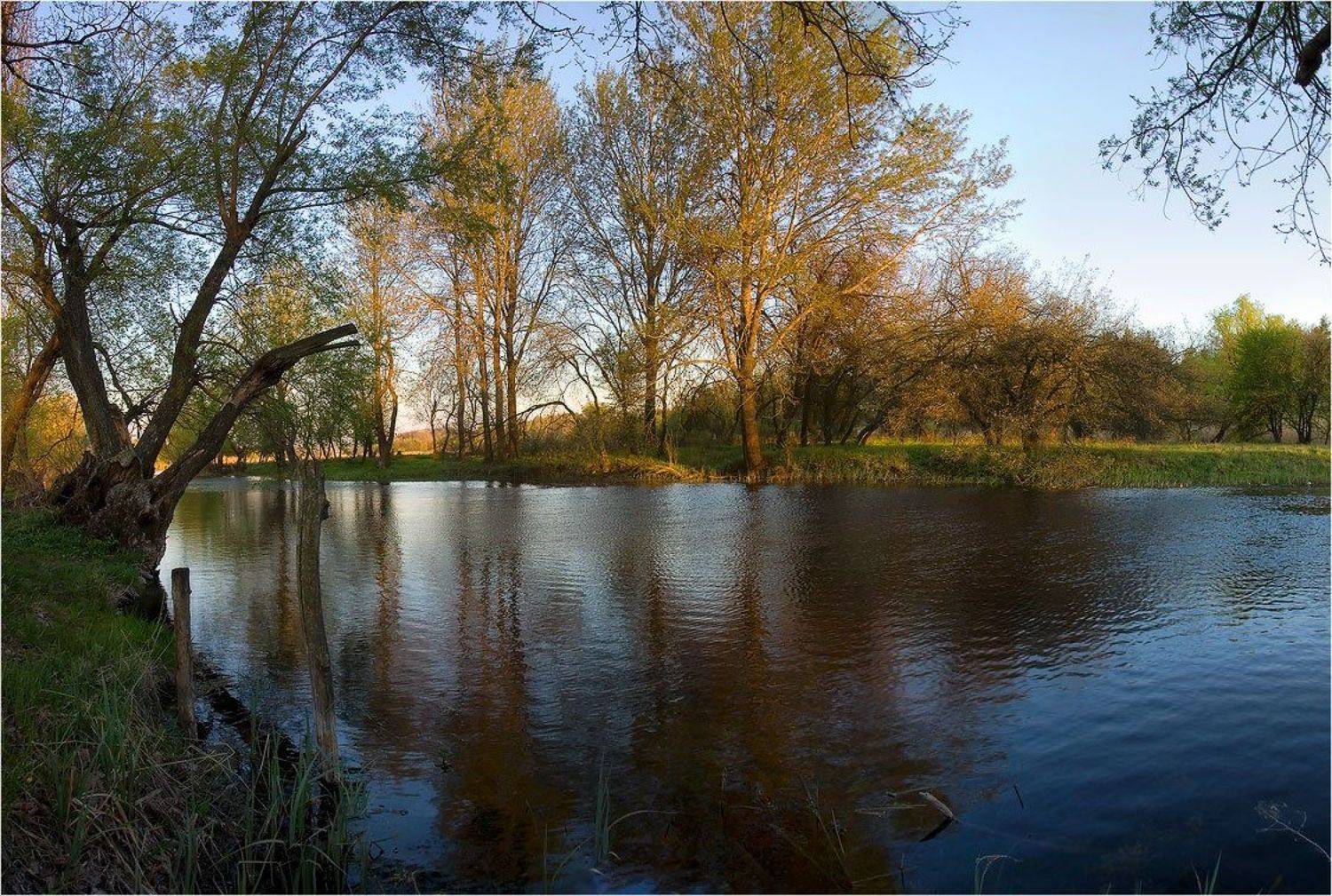 Ранней весной. Автор: Kolebidenko Vladimir , Kolebidenko Vladimir