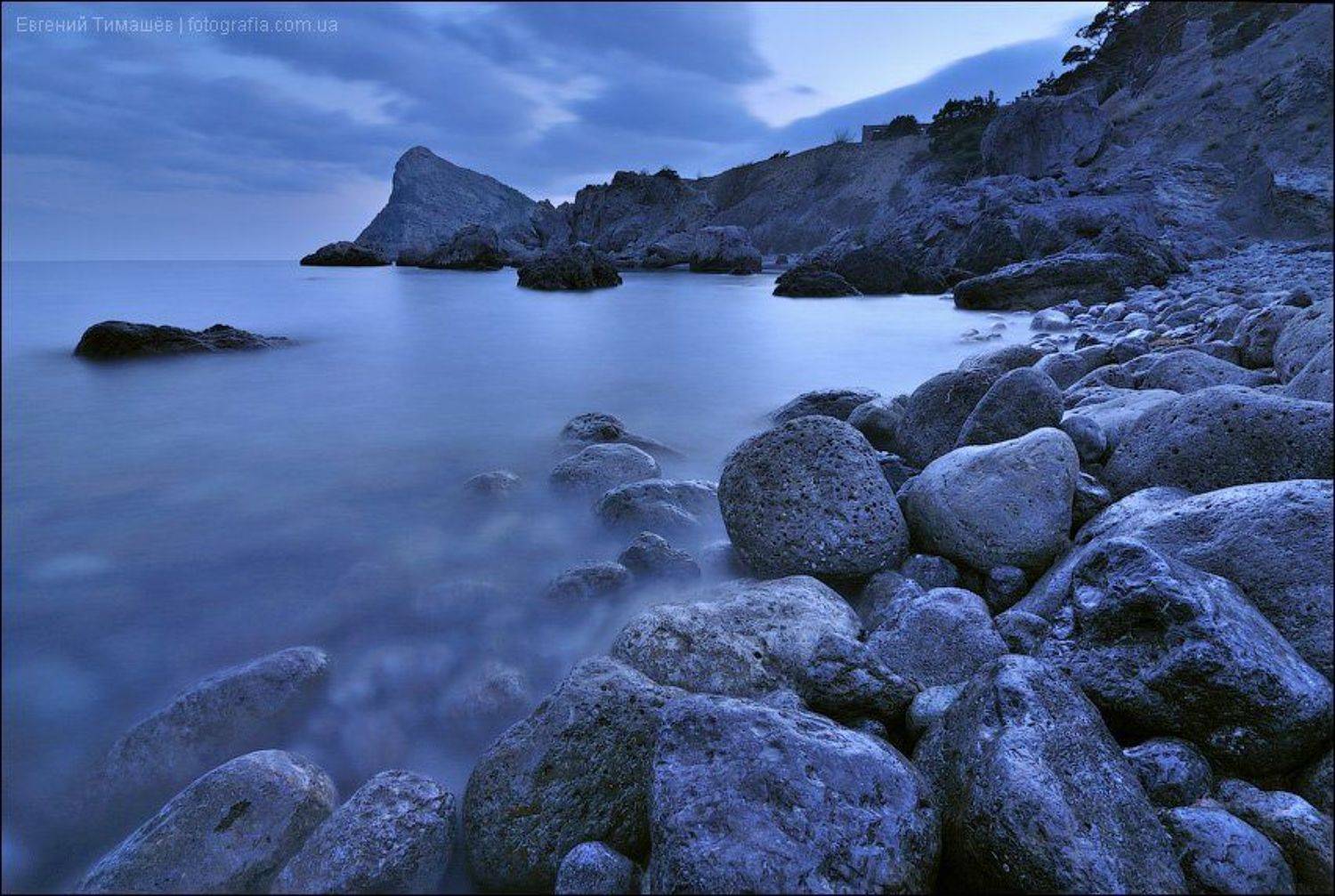 , Евгений Тимашёв