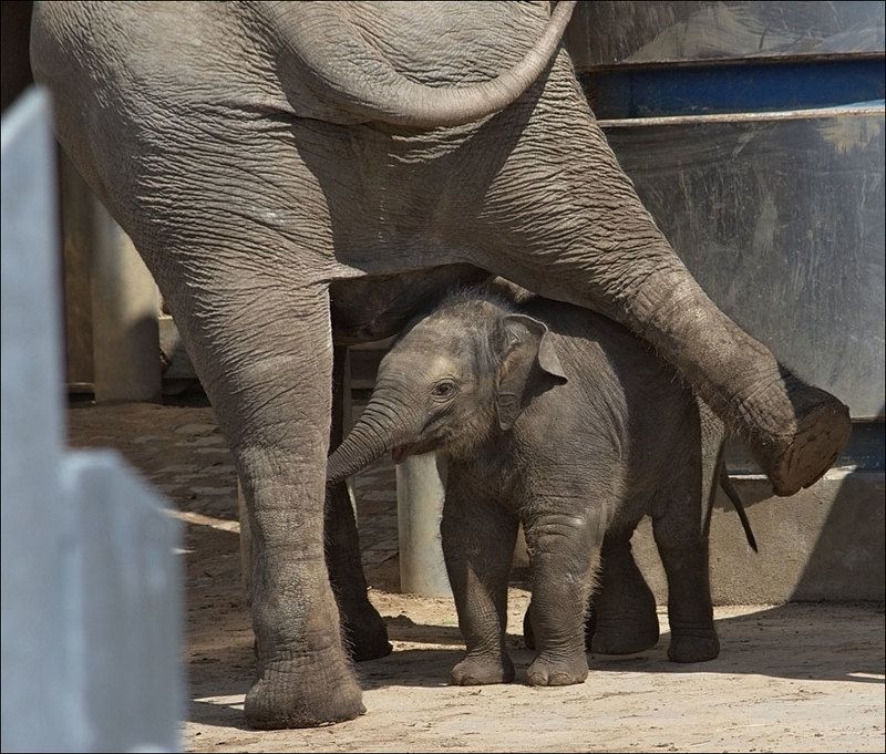 Что бы это значило?photo preview