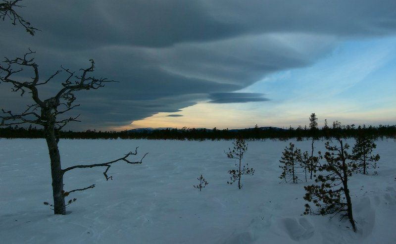 северный урал, хмао, ялпингнер Шаман фото превью