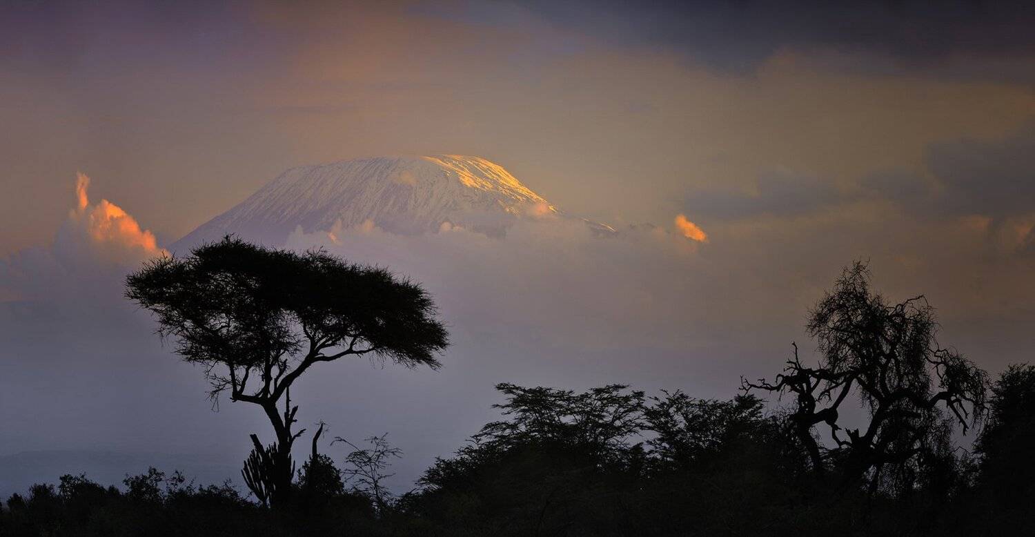 килиманджаро, африка, пейзаж, гора, амбосели, танзания, кения, Николай Зиновьев