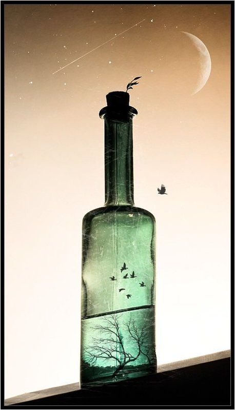 ночь,бутылка,бутылки,птица,птицы,луна,звёзды,падающие звёзды,натюрморт,владимир,шипулин Ночь в бутылке...photo preview