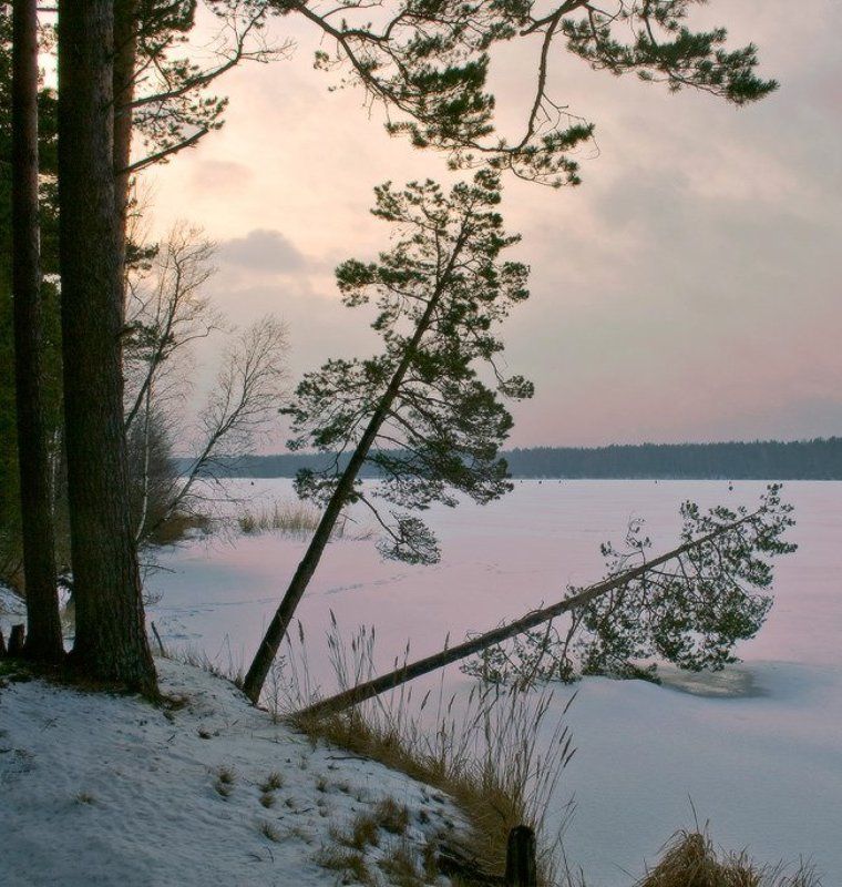 Уснувший деньphoto preview