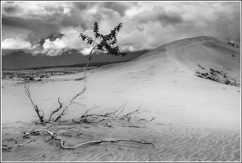 сев.забайкалье, кодар, чарские пески ***photo preview