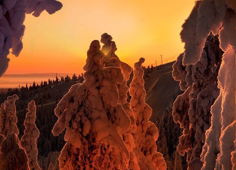 финляндия, зима, снег, деревья, любовь И пусть любовь согреет всех!)photo preview