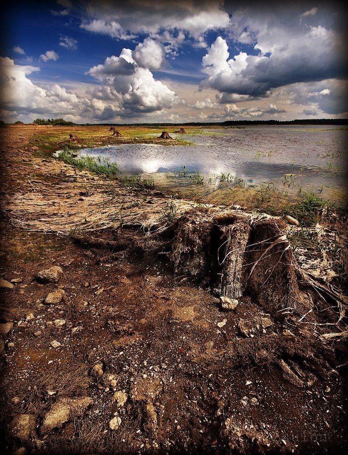 №944. Автор: zaulon , zaulon