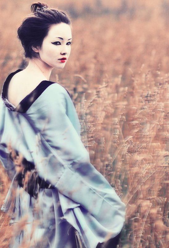 wwwest Гейшаphoto preview