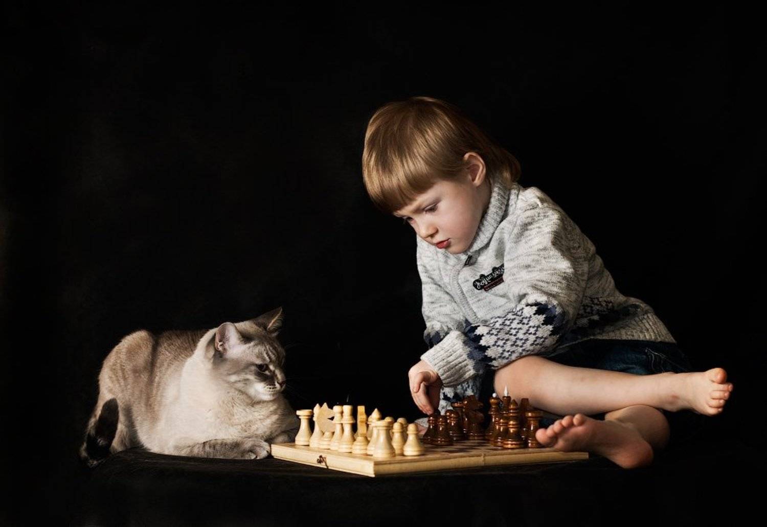 E-2 => E-4. Автор: Дмитрий Милосердов , Дмитрий Милосердов