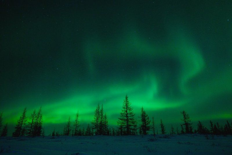 aurora borealis, северное сияние, природа, ночной пезаж, север Aurora Borealis#5photo preview