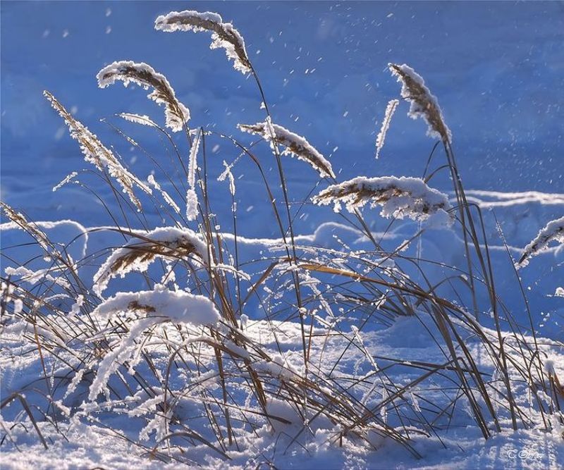 зима photo preview